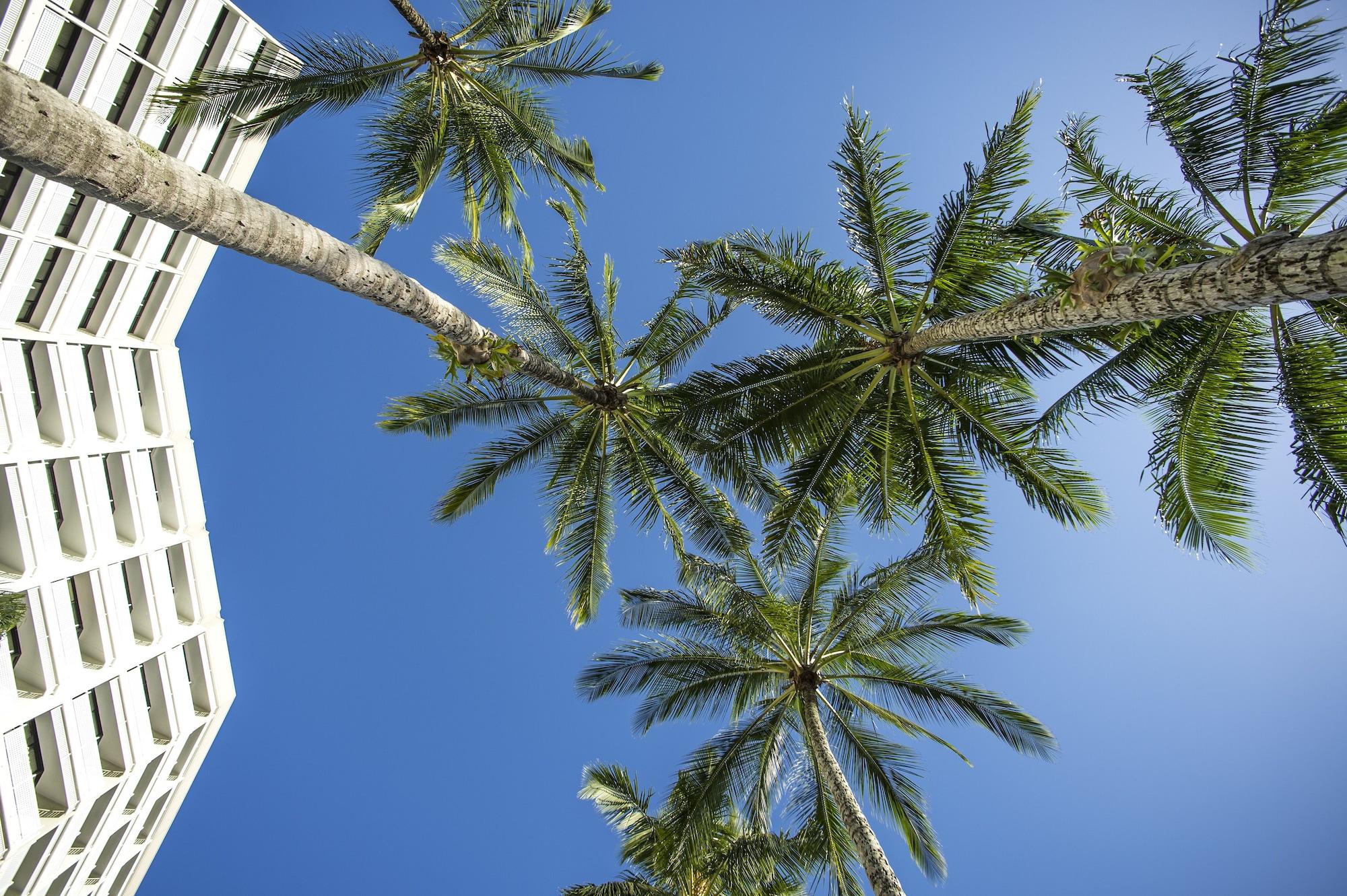 Rydges Esplanade Resort Cairns Extérieur photo
